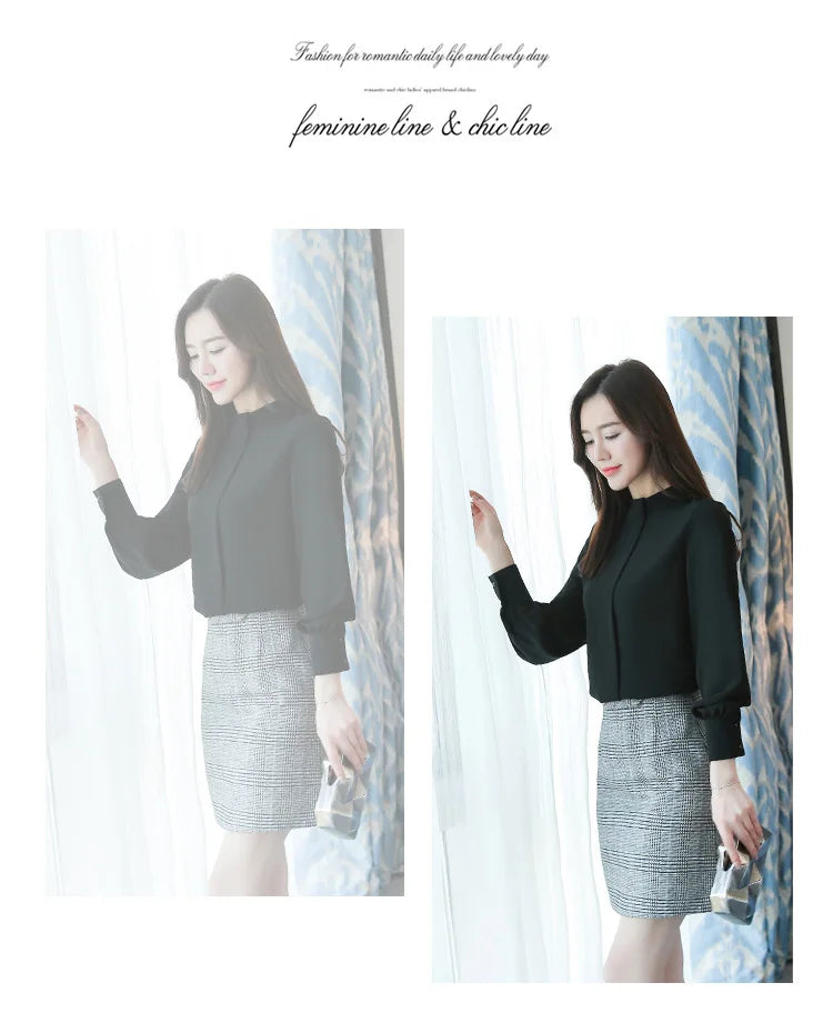 Chiffon Long Sleeve Blouse - Office Wear, Spring/Autumn 2024