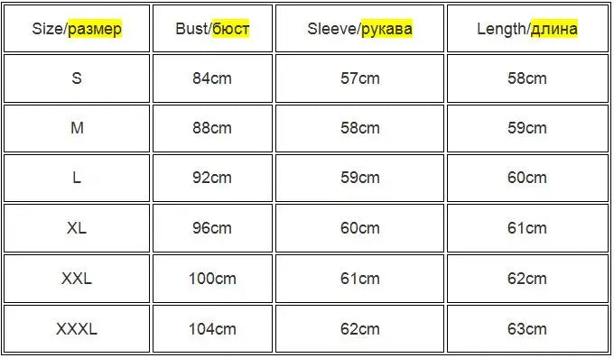 Chiffon Long Sleeve Blouse - Office Wear, Spring/Autumn 2024